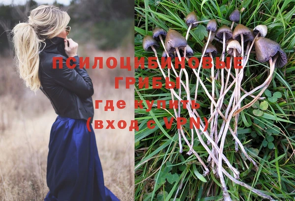 дмт Лагань