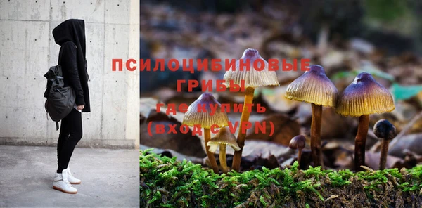 прущий лед Кукмор