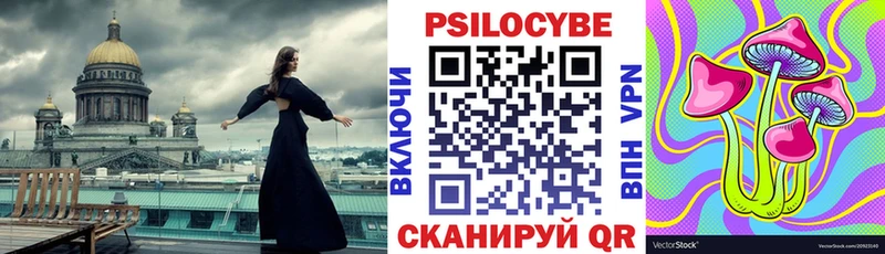 Купить закладки  Ачхой-Мартан  Псилоцибиновые грибы Cubensis 